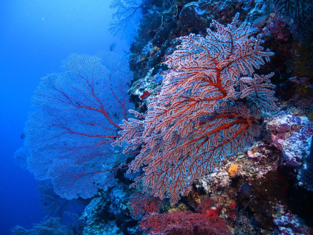 شقة Diving Center Punta Stilo المظهر الخارجي الصورة