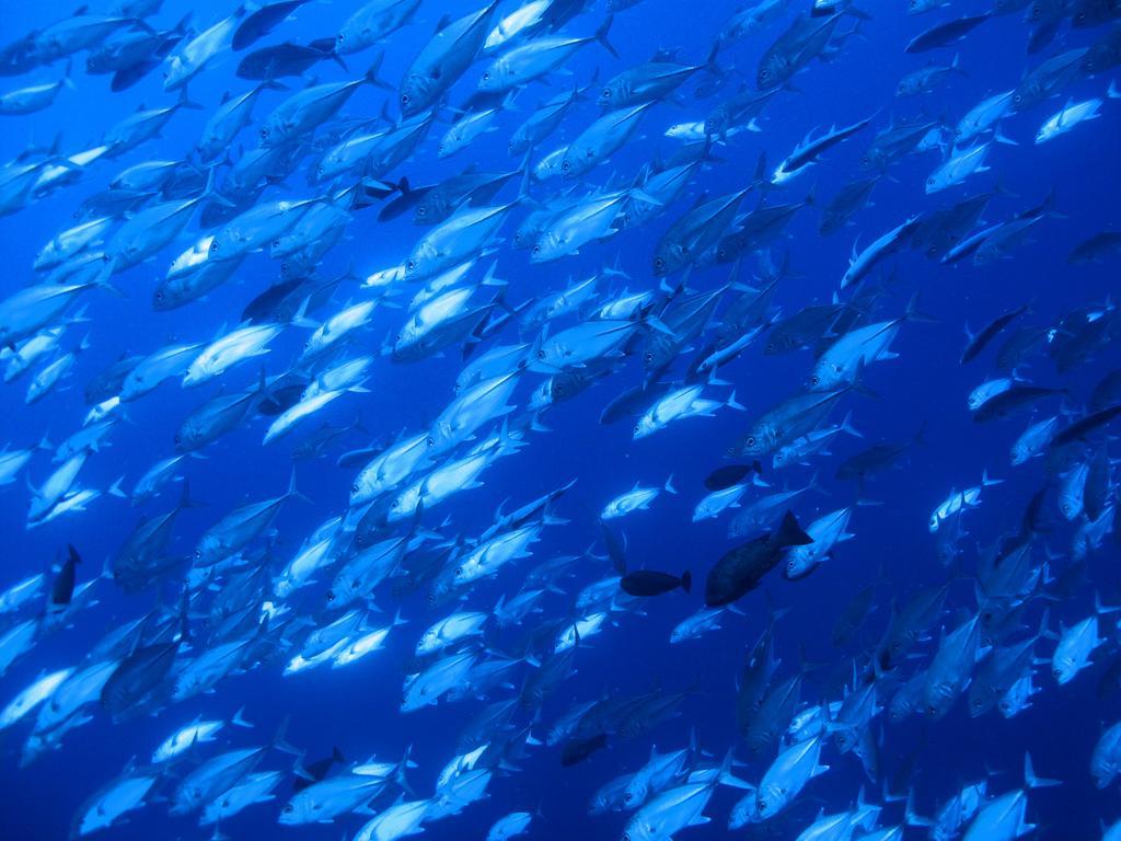 شقة Diving Center Punta Stilo المظهر الخارجي الصورة