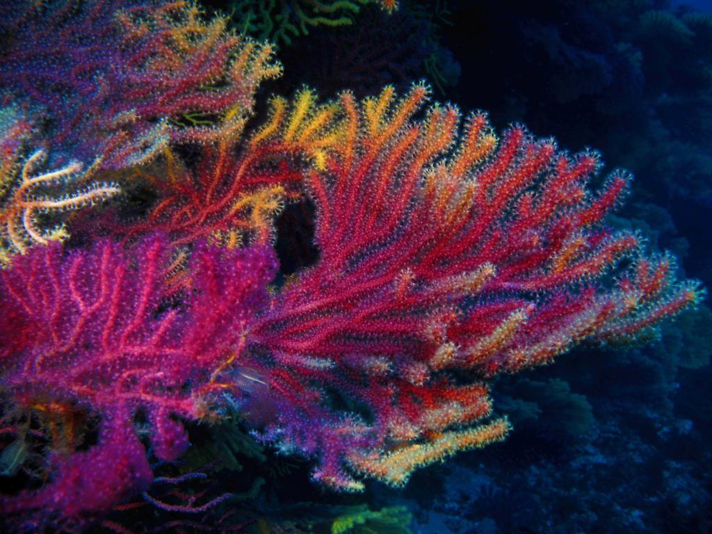 شقة Diving Center Punta Stilo المظهر الخارجي الصورة